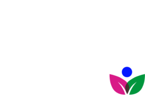 Stotler Hayes Group